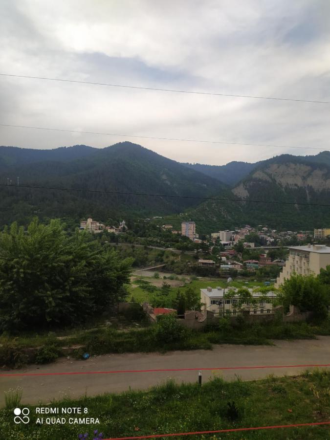 博尔若米Alena'S Flat公寓 外观 照片