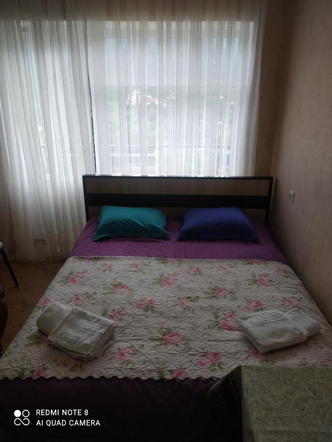 博尔若米Alena'S Flat公寓 外观 照片