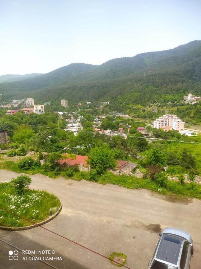 博尔若米Alena'S Flat公寓 外观 照片