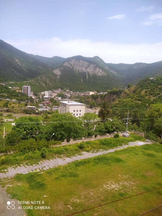 博尔若米Alena'S Flat公寓 外观 照片