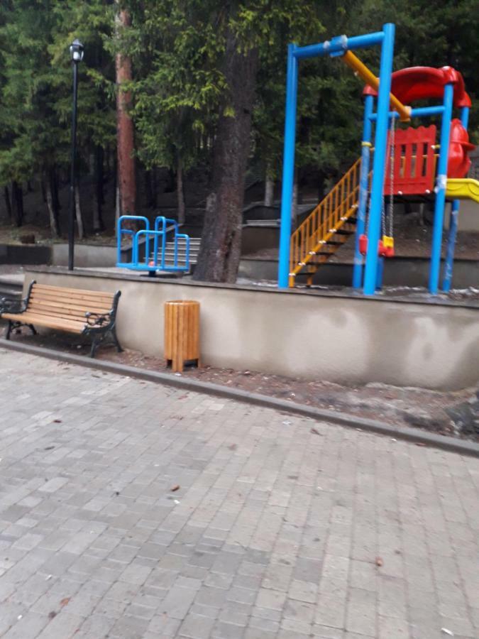 博尔若米Alena'S Flat公寓 外观 照片