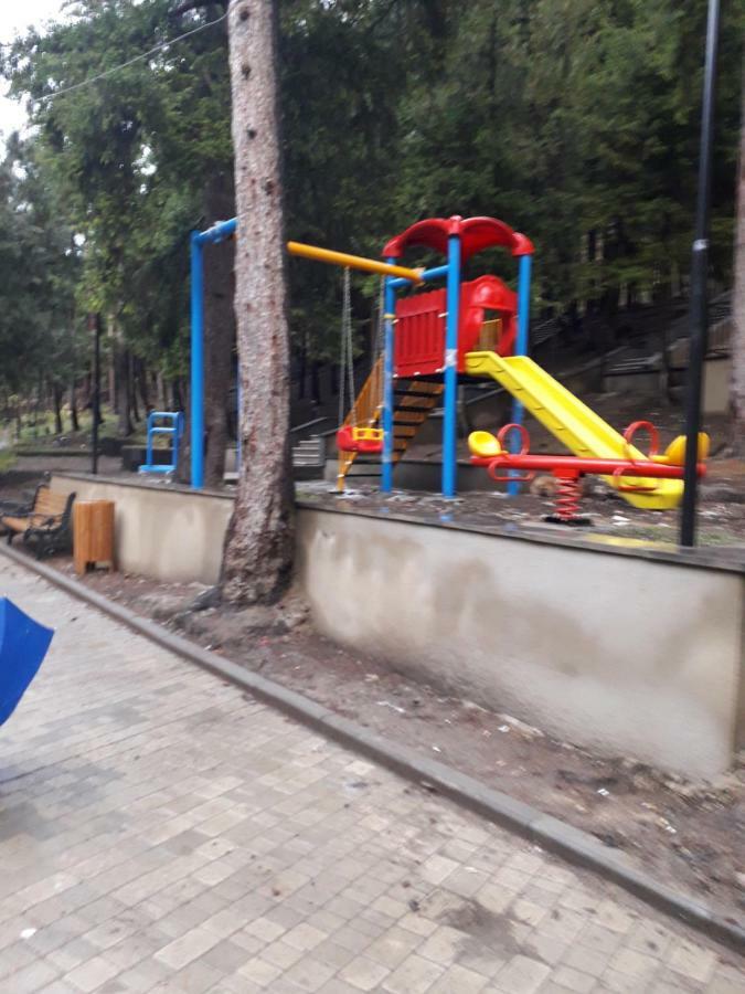 博尔若米Alena'S Flat公寓 外观 照片